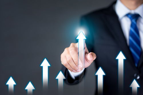 高效企業管理 體系構建與咨詢賦能之路