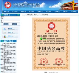 以品牌之光，照亮技術推廣之路——中國馳名品牌技術推廣服務戰略解析